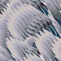 Shaped-Overwrite Session