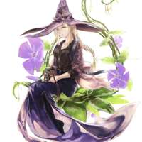 Periwinkle - Vinca Major