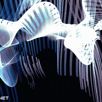 Jellyfish's Voice (Animation)