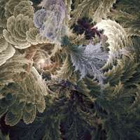 Wings of Angel and Demon