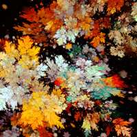 Temperature Blooms / ぬくもりは咲く